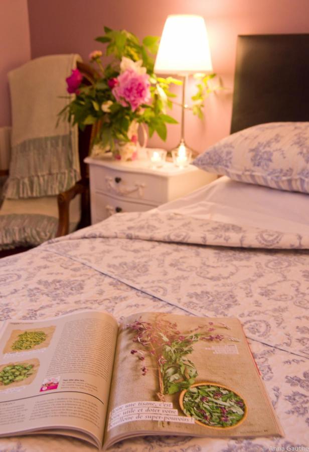 Le Cheval Blanc Bed and Breakfast Saint-Antonin Εξωτερικό φωτογραφία
