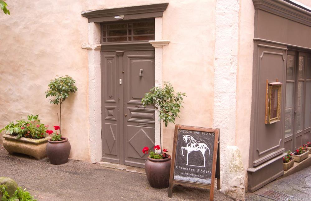 Le Cheval Blanc Bed and Breakfast Saint-Antonin Εξωτερικό φωτογραφία